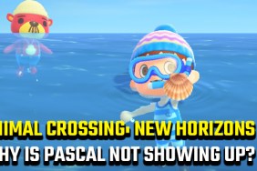 ANIMAL CROSSING NEW HORIZONS WHY IS PASCAL NOT SHOWING UP